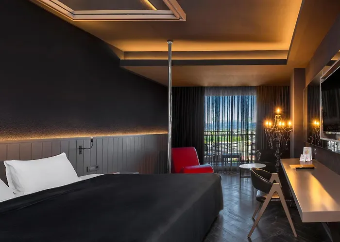 The X Hotel 5*