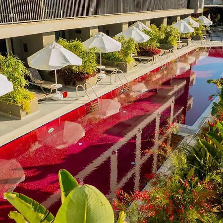 Hotel The X 5*
