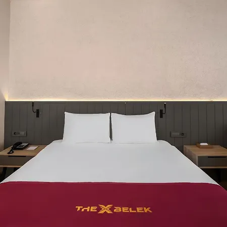Hotel The X